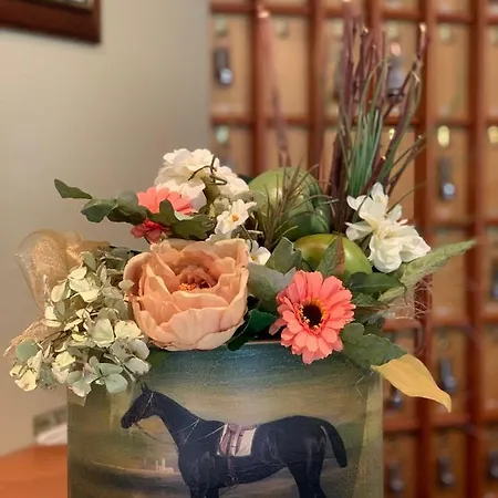 Hetkuti Wellness 4* Mór