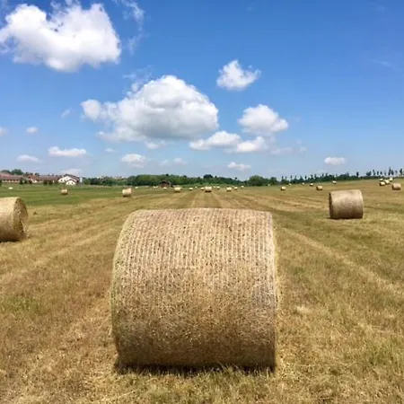 Hetkuti Wellness 4* Mór