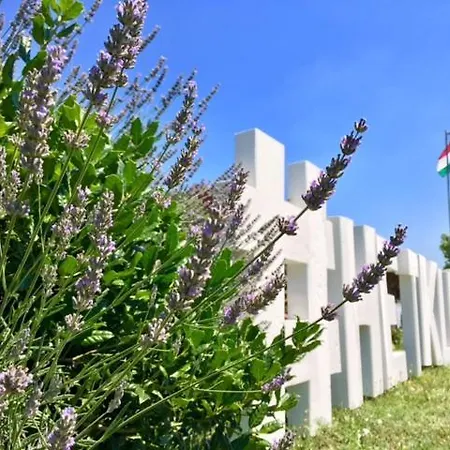 Hetkuti Wellness 호텔 Mór