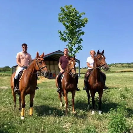 Hetkuti Wellness 4* Mor