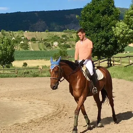 Hetkuti Wellness 호텔 Mór