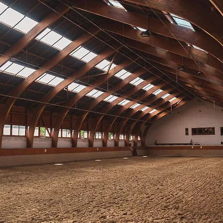 호텔 Hetkuti Wellness 4*