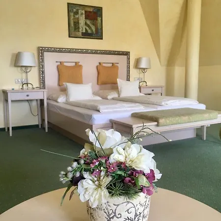 Hetkuti Wellness 4* Mór